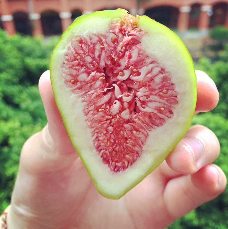 美极桂虾(以及给你做饭的那些日子里的碎碎念)