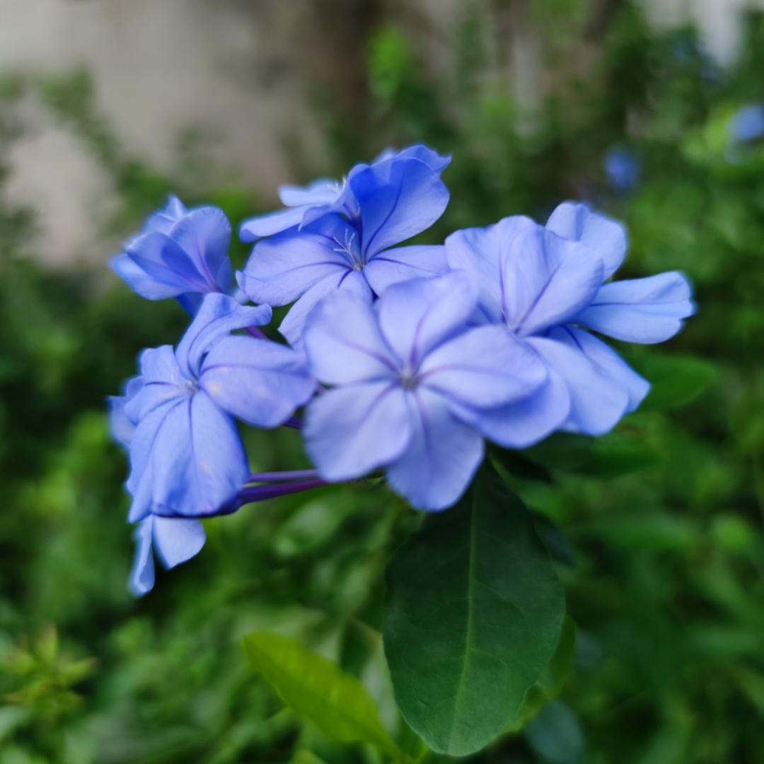 小赞zanda