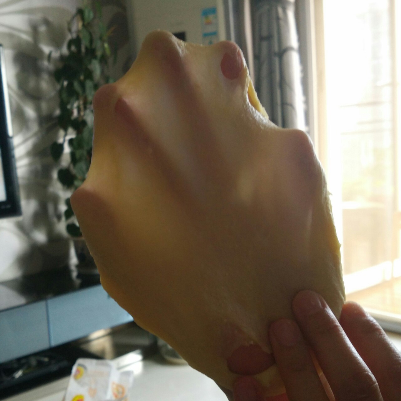 手工揉面揉至完全扩展阶段的经验汇总——鸭蹼不是梦！！！