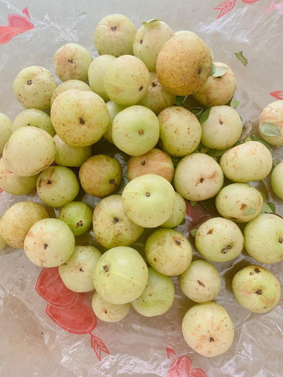 自制奈雪同款很火的油柑汁｜低糖无添加回甘