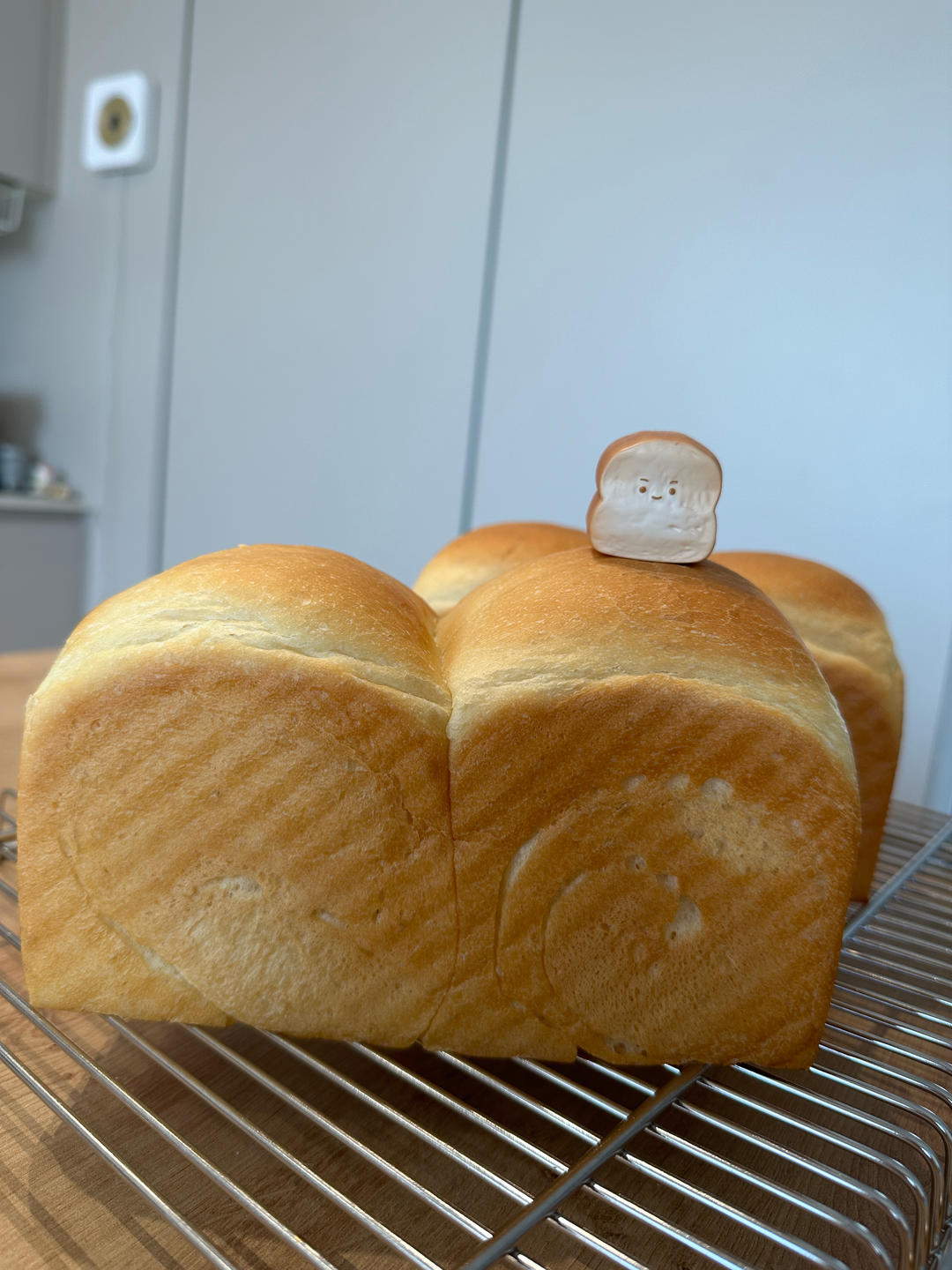 牧场鲜奶吐司🍞｜一次发酵｜吴克己老师经典吐司