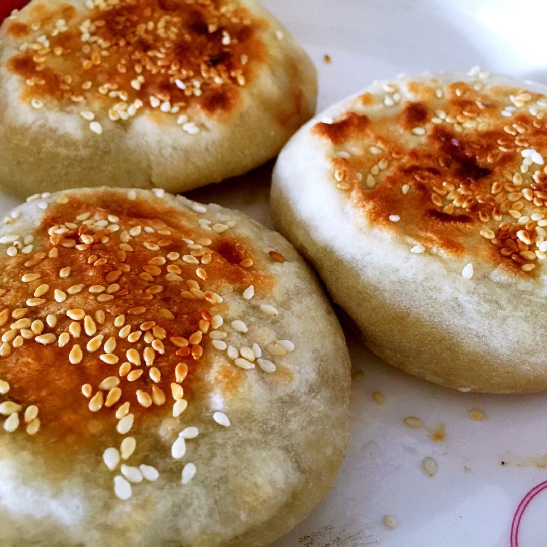 家常酱香肉饼 Minced Pork Pancake