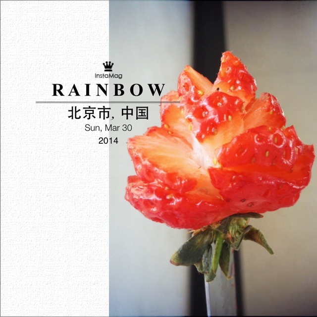 草莓玫瑰花