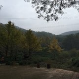 一如初心面对阳光