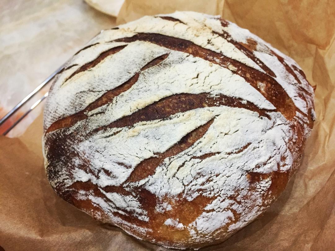 【Tartine Bread】天然酵种基础乡村欧包