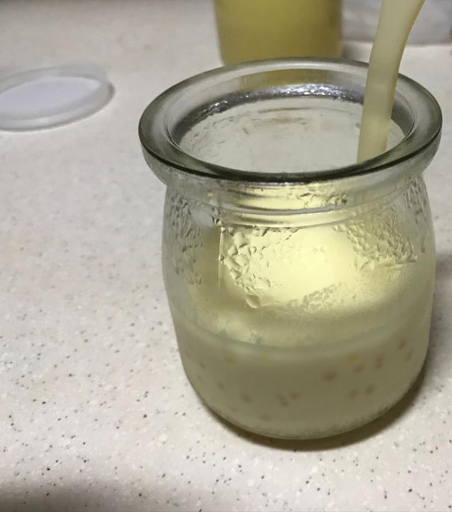 葡萄小玩子做的牛奶炼乳布丁