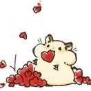 呱呱呱呱呱呱呱呱