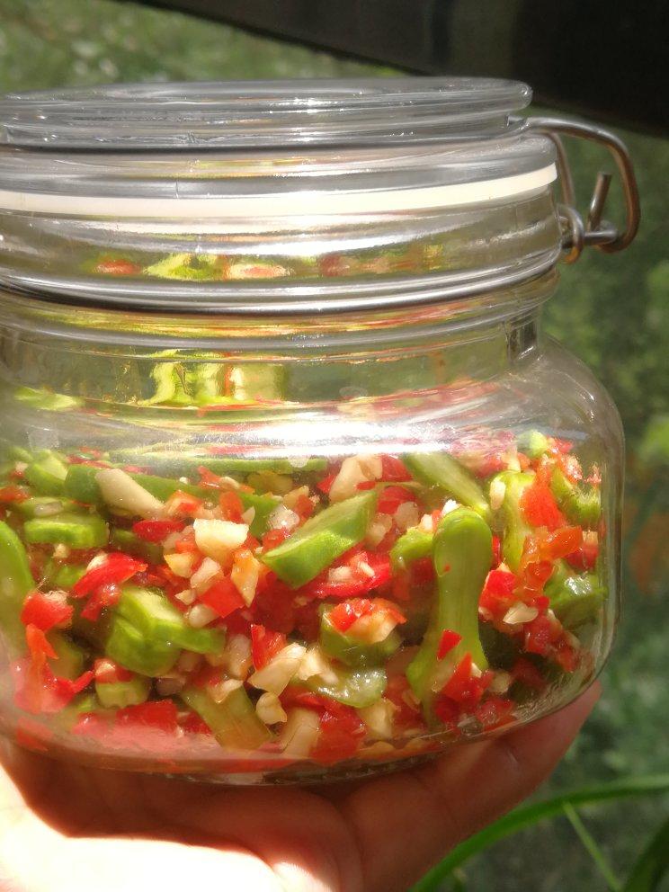 湖南人的下饭神器-剁椒刀豆（内含制作全过程）