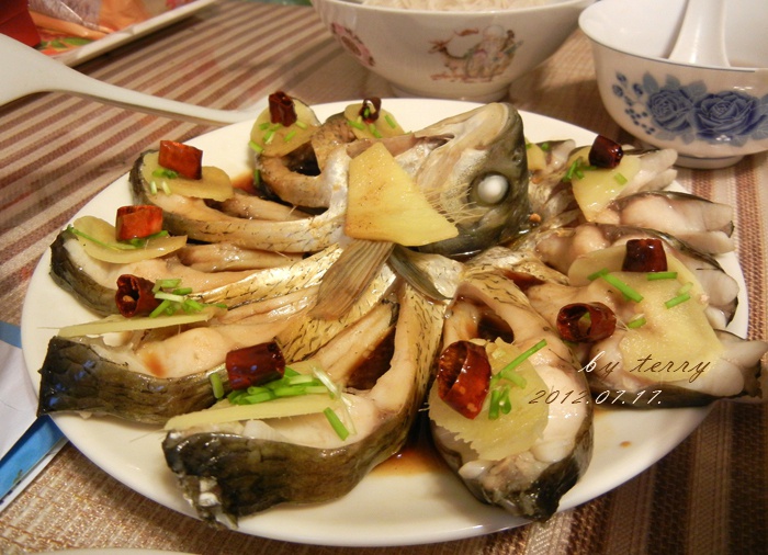 孔雀开屏鱼
