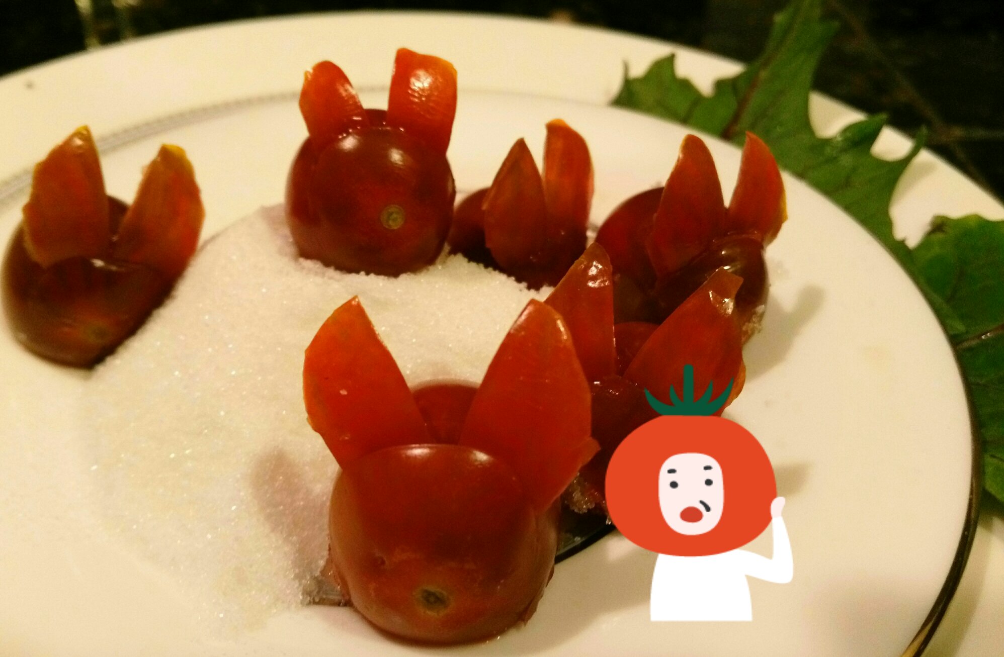 番茄料理趣味搭