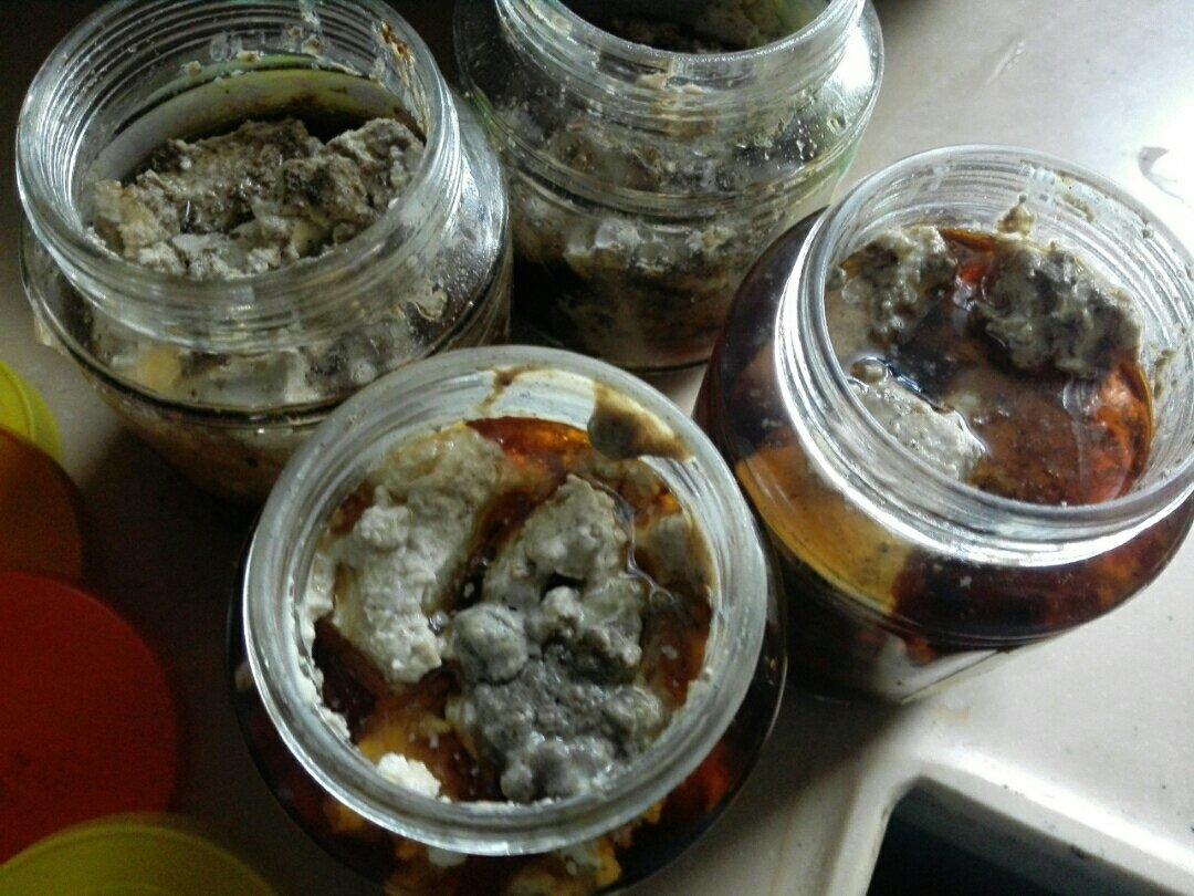 智沐婉绮做的自制腐乳