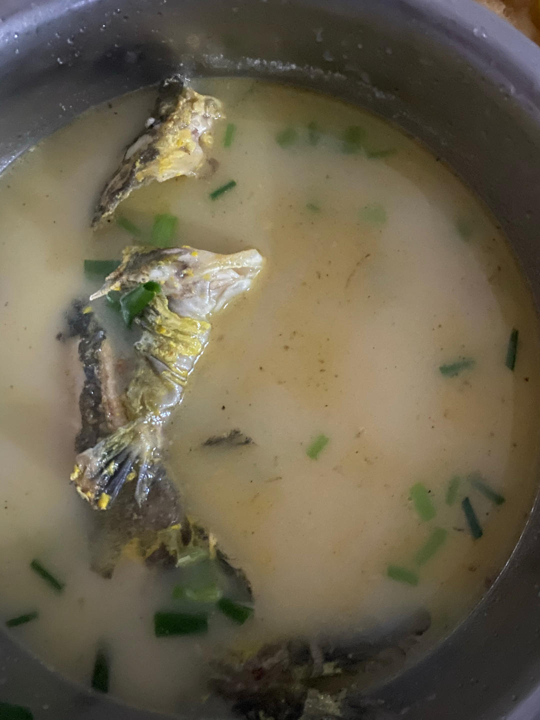 黄骨鱼汤(必出金汤)