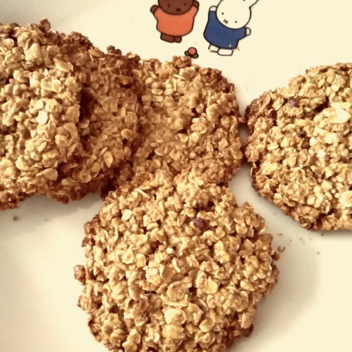 减肥零食燕麦饼干