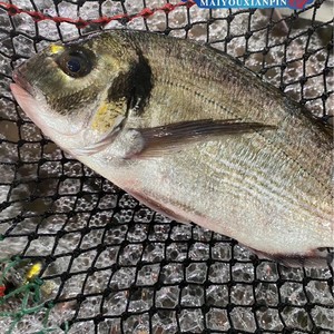 红烧金雕鱼
