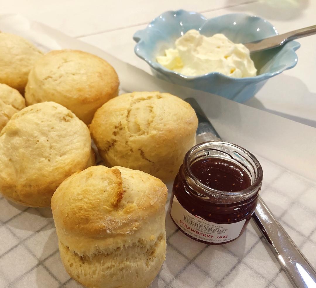 一盆到底原味司康