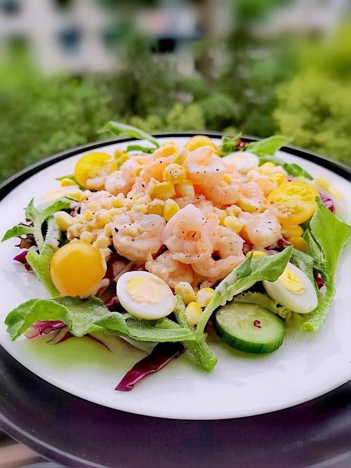 游走的紫云做的米其林轻盈减脂沙拉:6款酱汁&6款沙拉