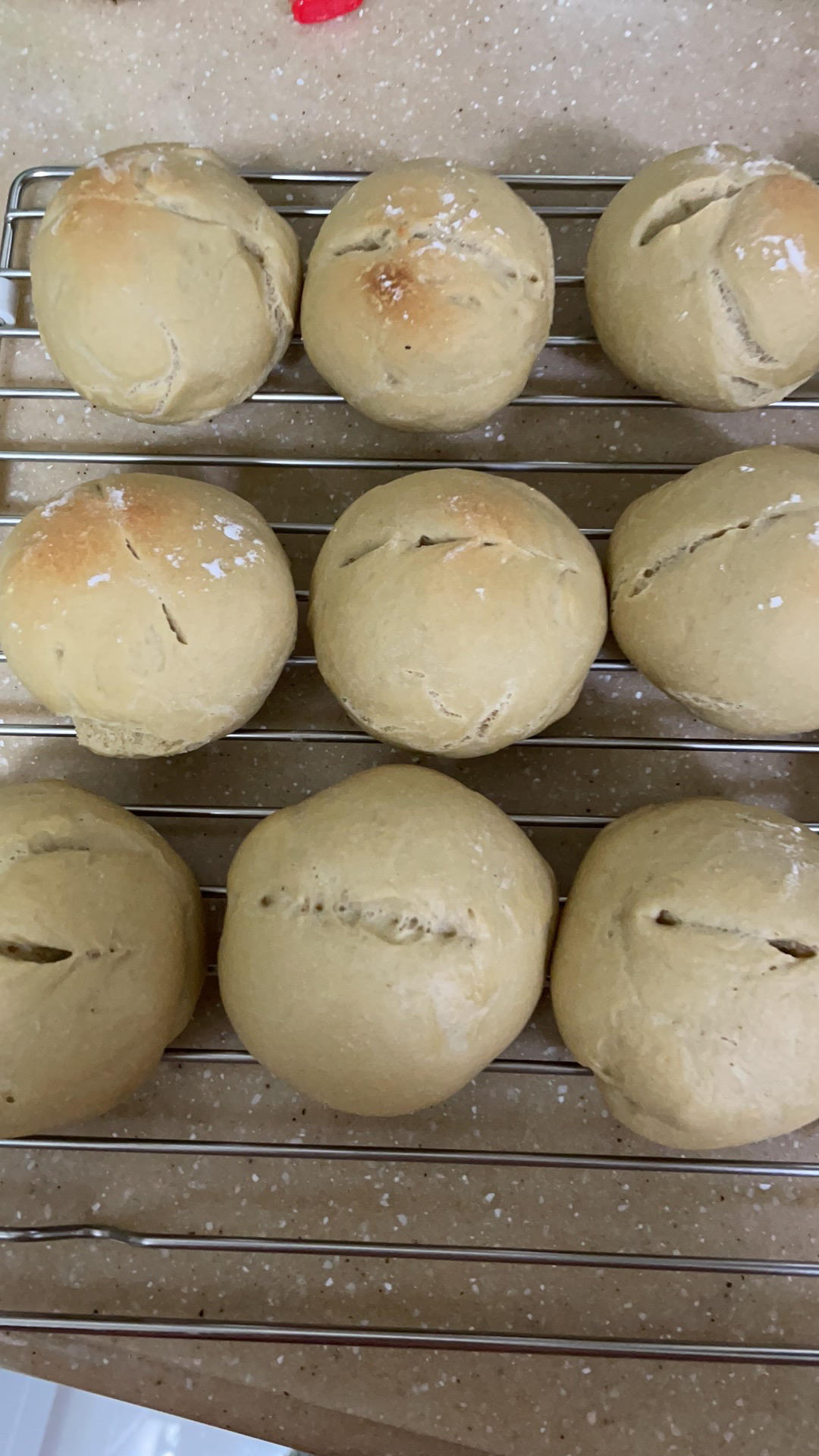 风靡日本的日清大米面包｜软糯Q弹｜大米清香｜一次发酵｜Monde selection银奖面包