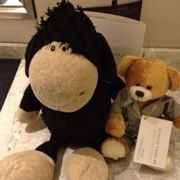 兜里没有一分钱