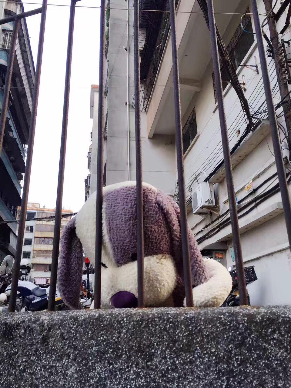 MG便当