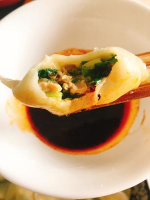 韭菜香菇肉饺子的做法 步骤13
