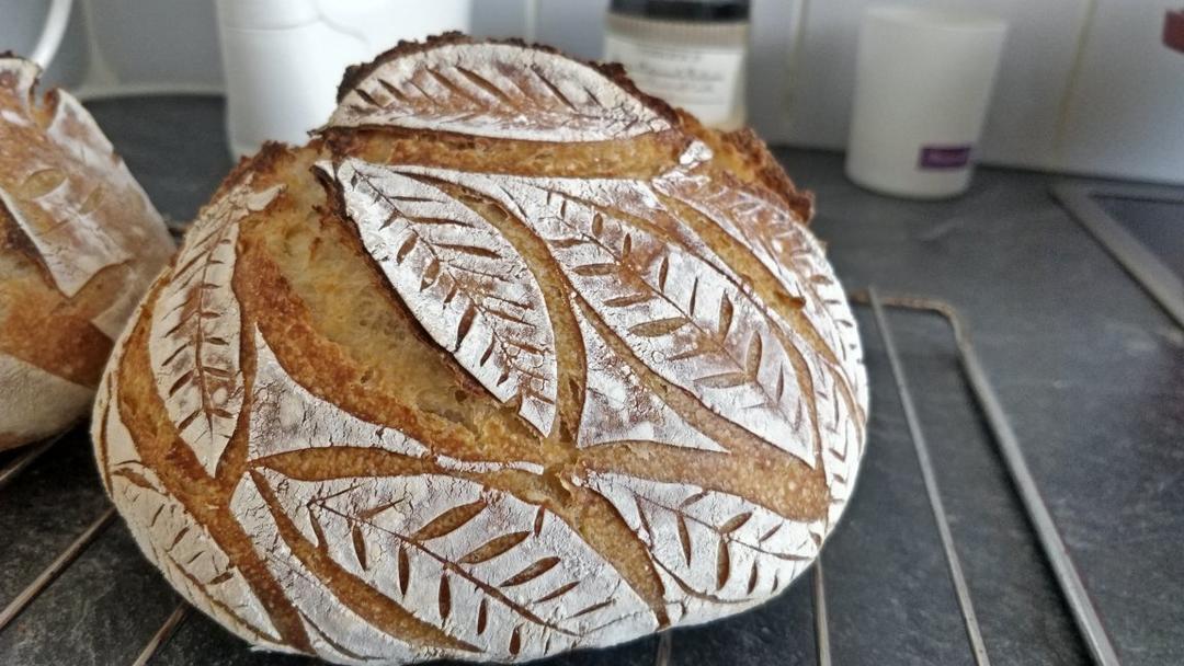 欧包割包视频教程-千叶