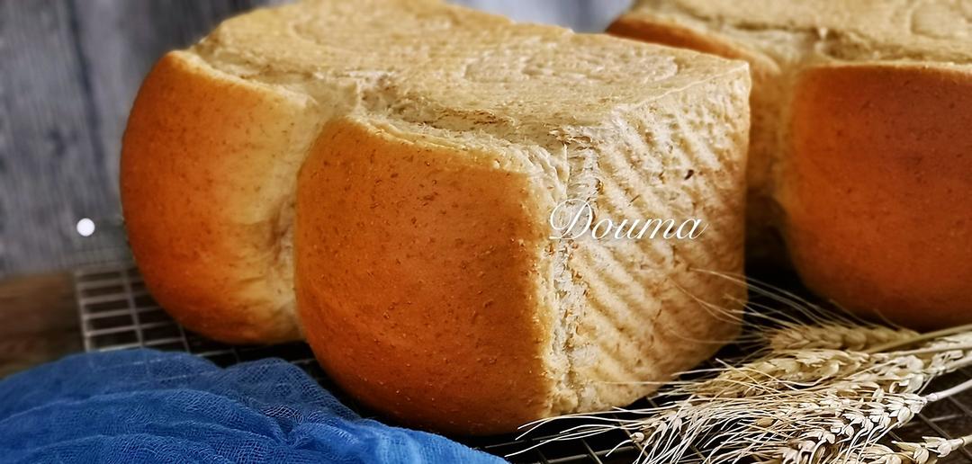 全麦吐司🍞