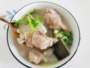 薏米冬瓜排骨汤-祛湿的做法 步骤3