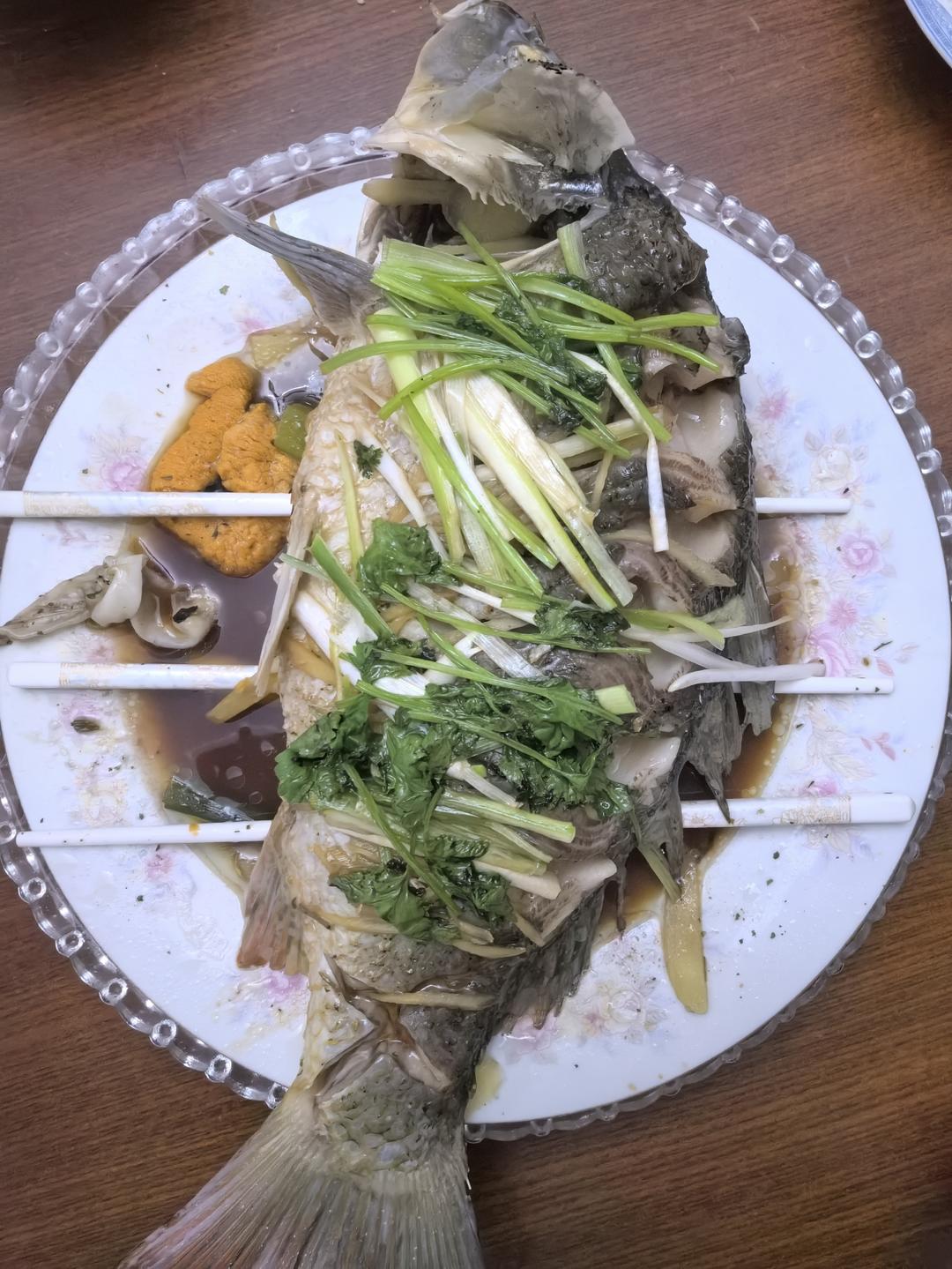 清蒸鲤鱼(鲈鱼，草鱼，黑鱼，各种鱼)