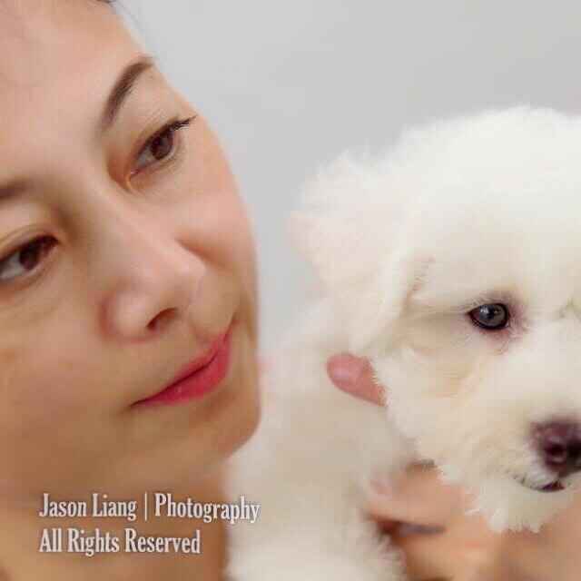 妖妖养了个小怪兽