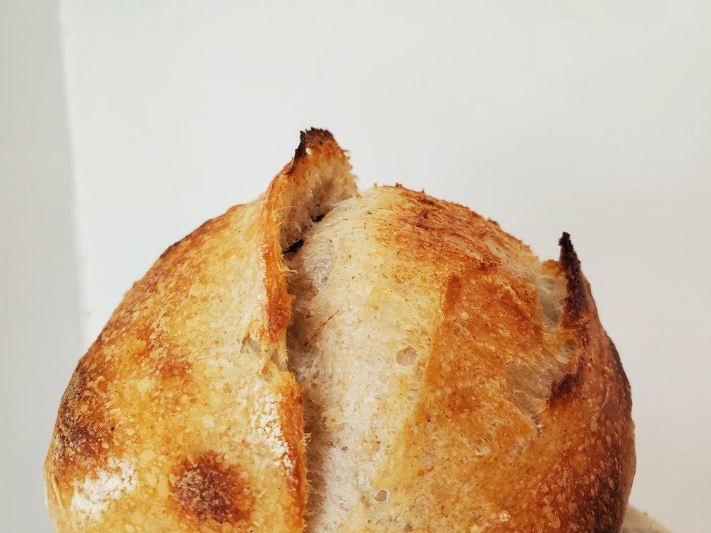【硬欧笔记】GirlMeetsBread「Sourdough Notebook」