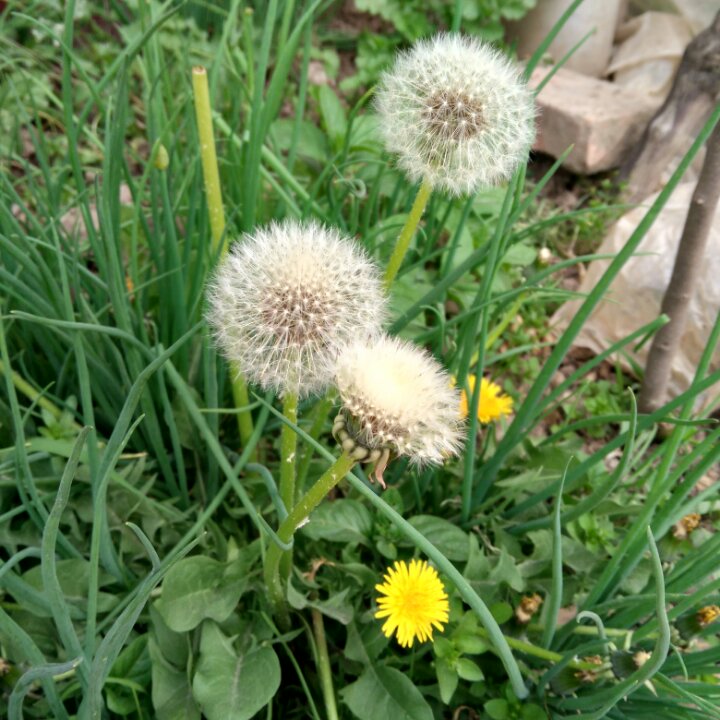 手机用户4635_zqsy