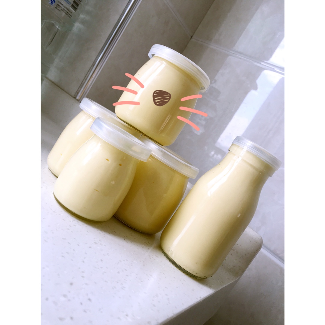 自制哈根达斯风味的冰淇淋