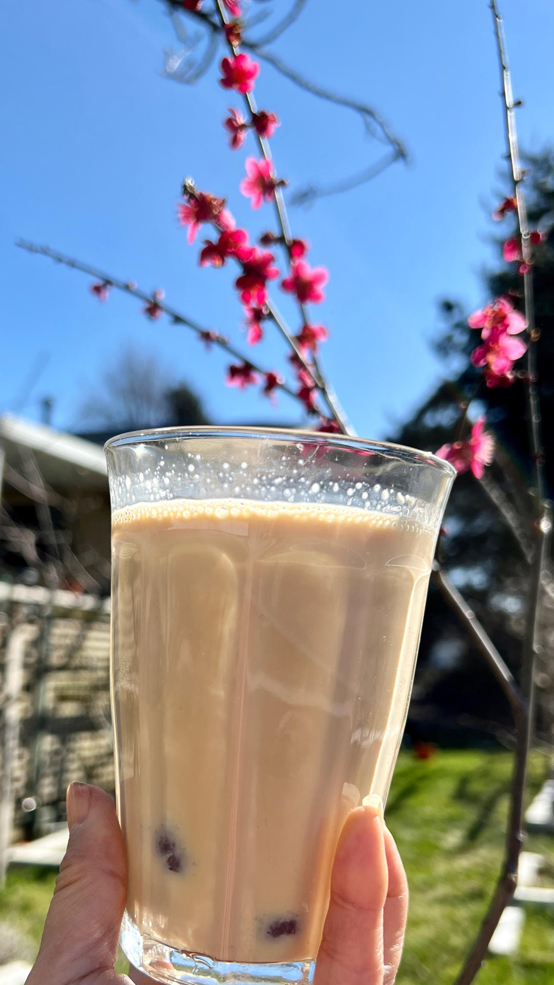 👸基础焦糖奶茶☕                                       无敌简单新手零失败