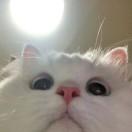 持续掉线中_