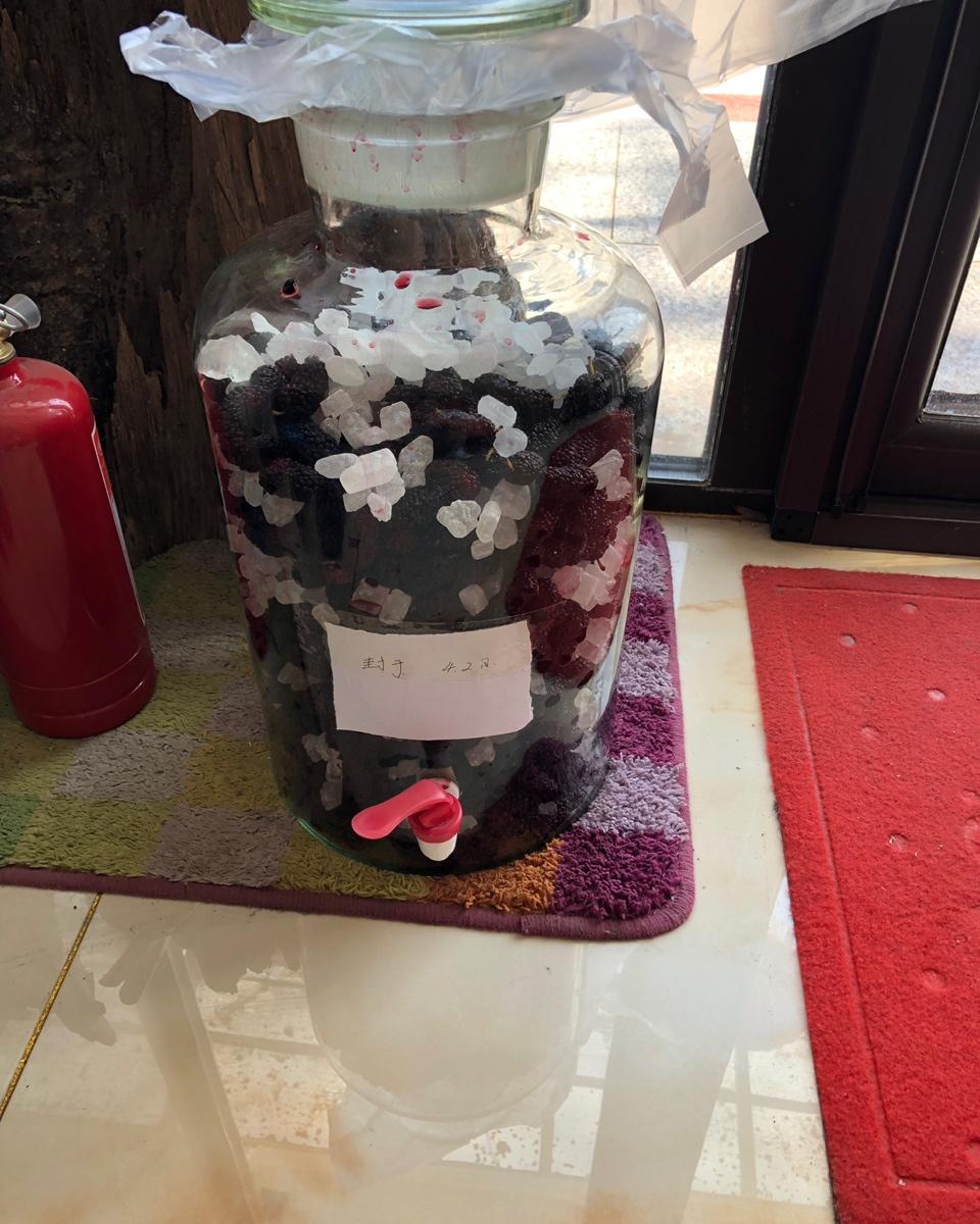 桑葚酒