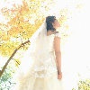 努力淡定