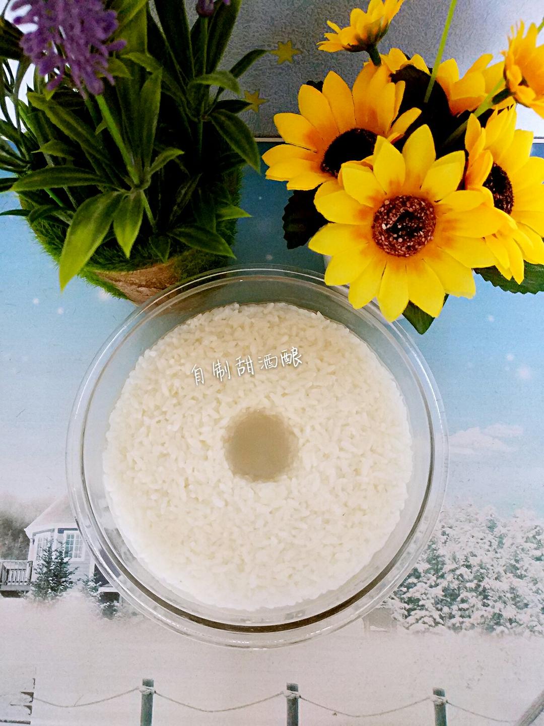 自制甜酒酿（快速法）