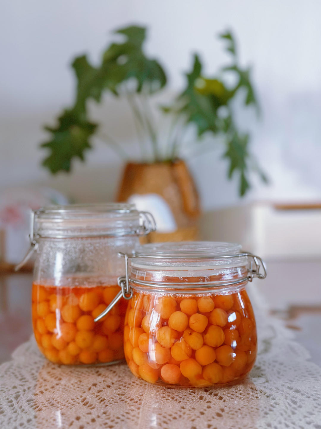 樱桃酒，樱桃酱，樱桃罐头，樱桃汁