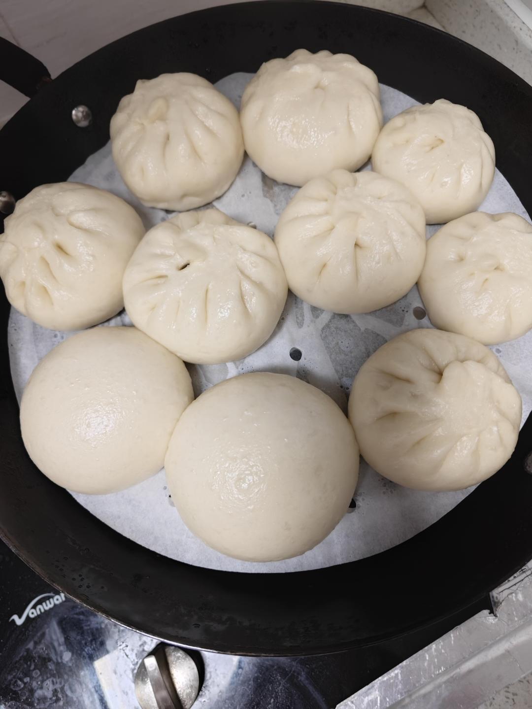 🪷波兰种·大圆馒头〔30%｜50%〕