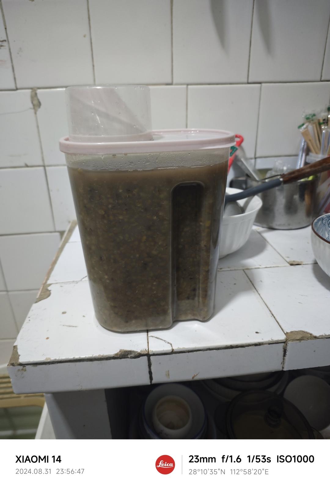 超简单的广式绿豆沙