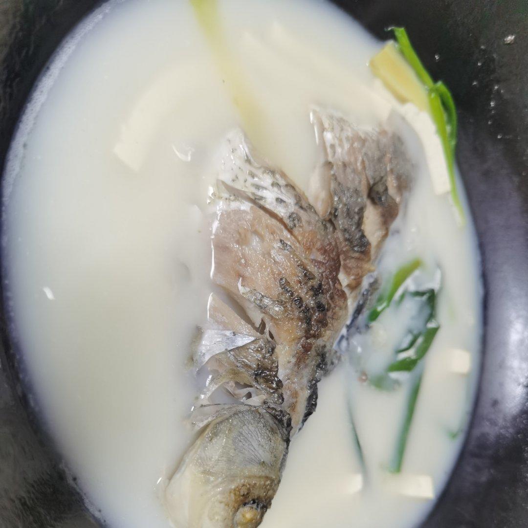 奶白鲫鱼豆腐汤|一条鱼最后的温柔