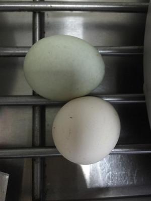 秋葵鸡蛋炒豆干的做法 步骤4