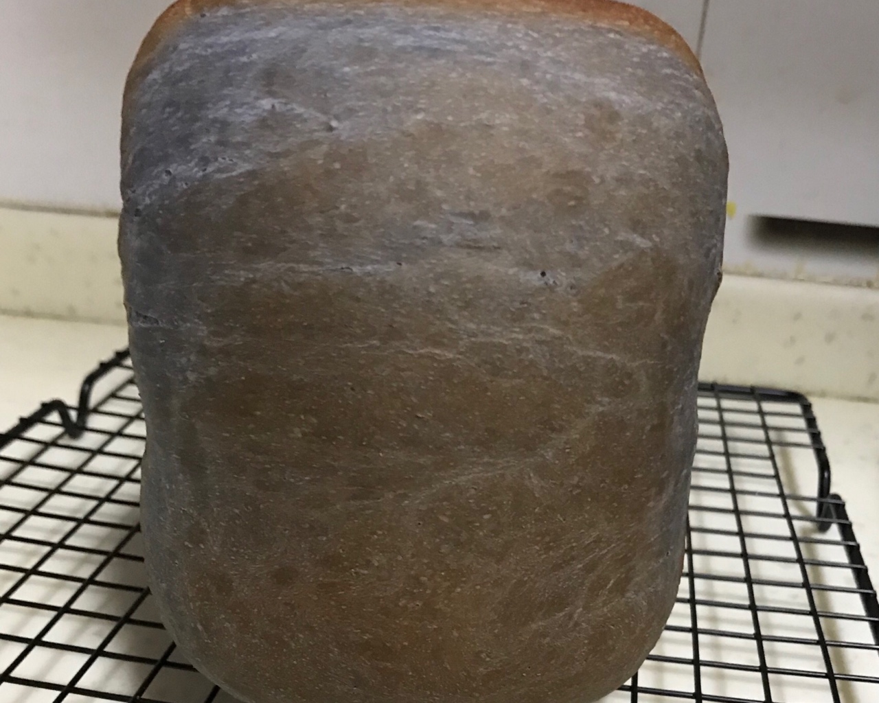 奶酥星空面包（松下面包机）的做法 步骤11