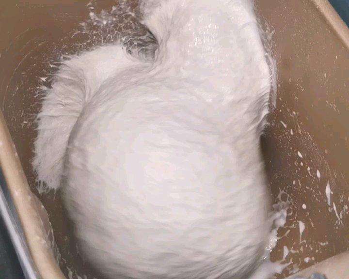 纯奶手撕吐司的做法 步骤1