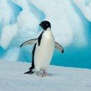 手机用户3882_a76l