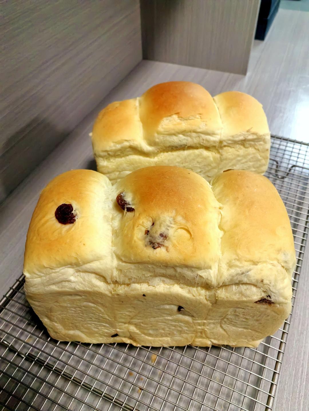 炼乳鲜奶提子吐司｜奶香加倍柔软加倍