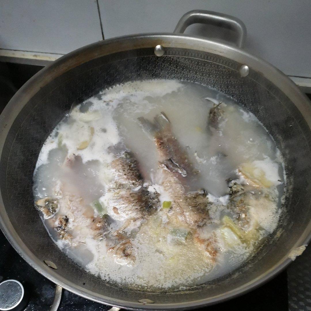 最好用的鲫鱼汤方子