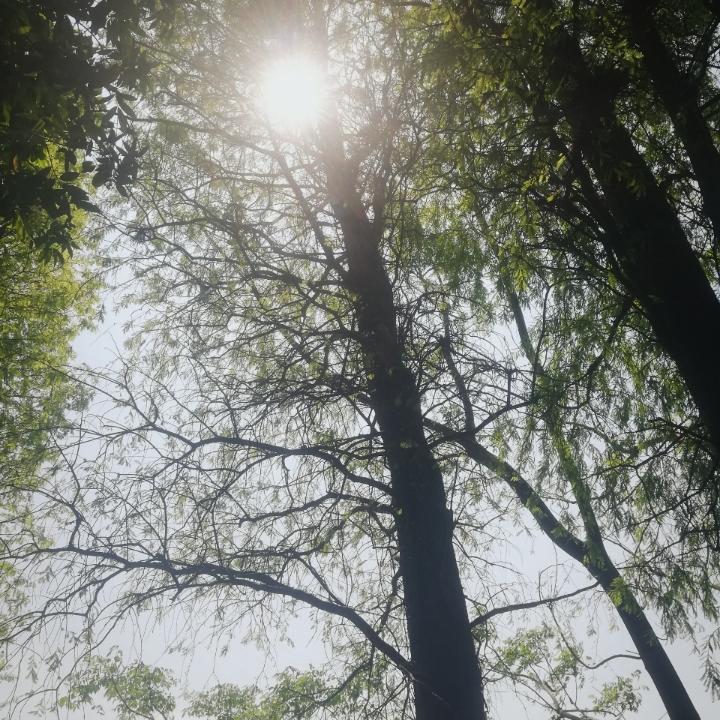 良123888