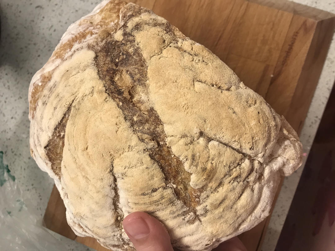 传统欧包
天然酵种 让你的面包拥有大气孔 漂亮耳朵