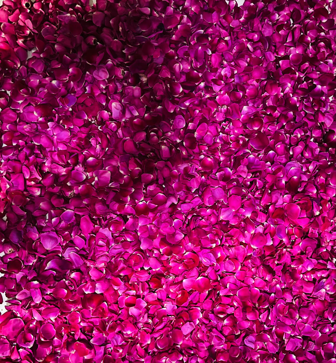 纯手工自制风靡云南的鲜花饼馅料——玫瑰酱